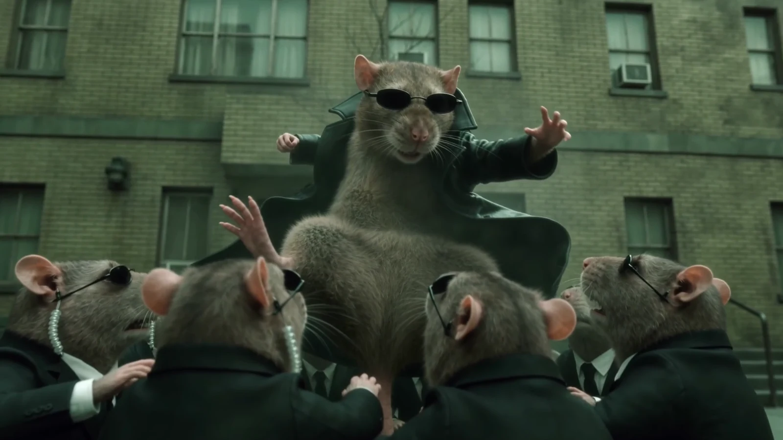 MATRIX RATS — frame 3